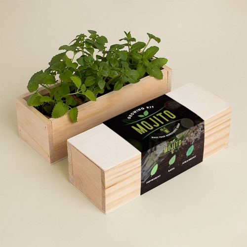 Mojito Growing Kit (peppermint, basil, spearmint)